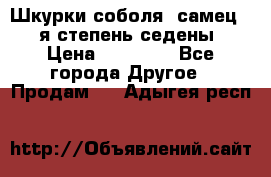 Шкурки соболя (самец) 1-я степень седены › Цена ­ 12 000 - Все города Другое » Продам   . Адыгея респ.